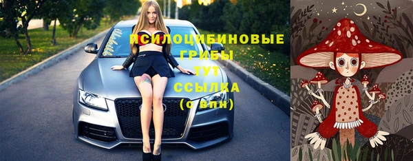соль ск Алексеевка